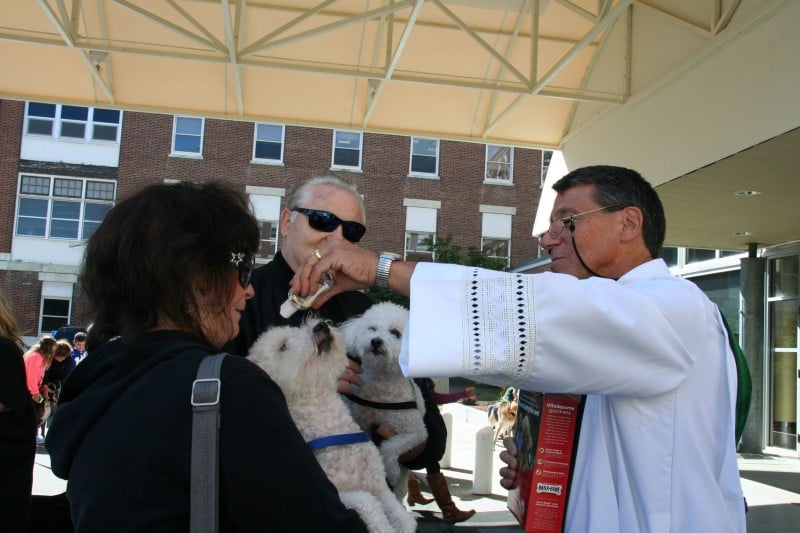 Blessing-of-Animals-Deacon-Neal-scaled.jpeg
